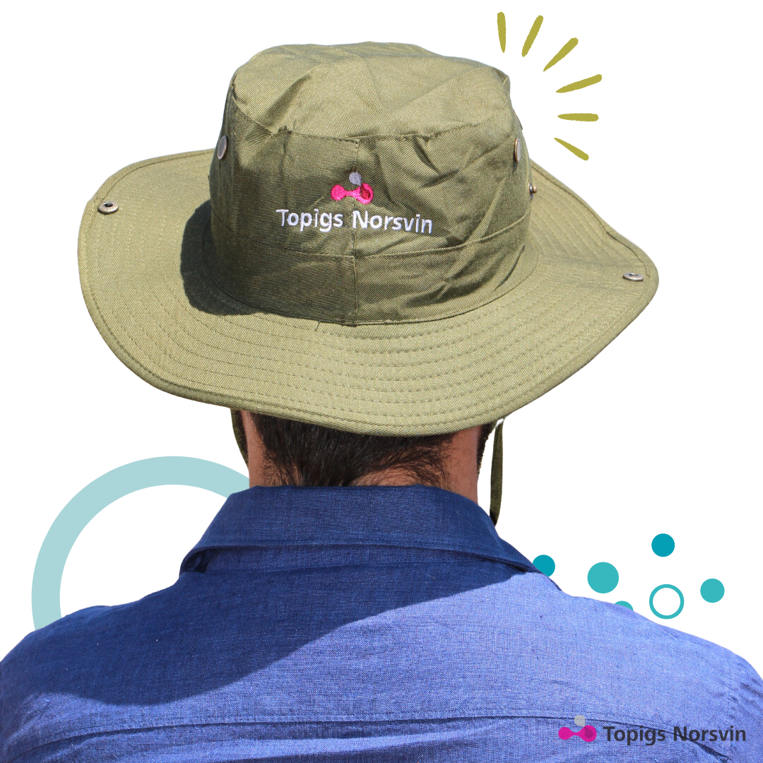 Our Services esm.co.za